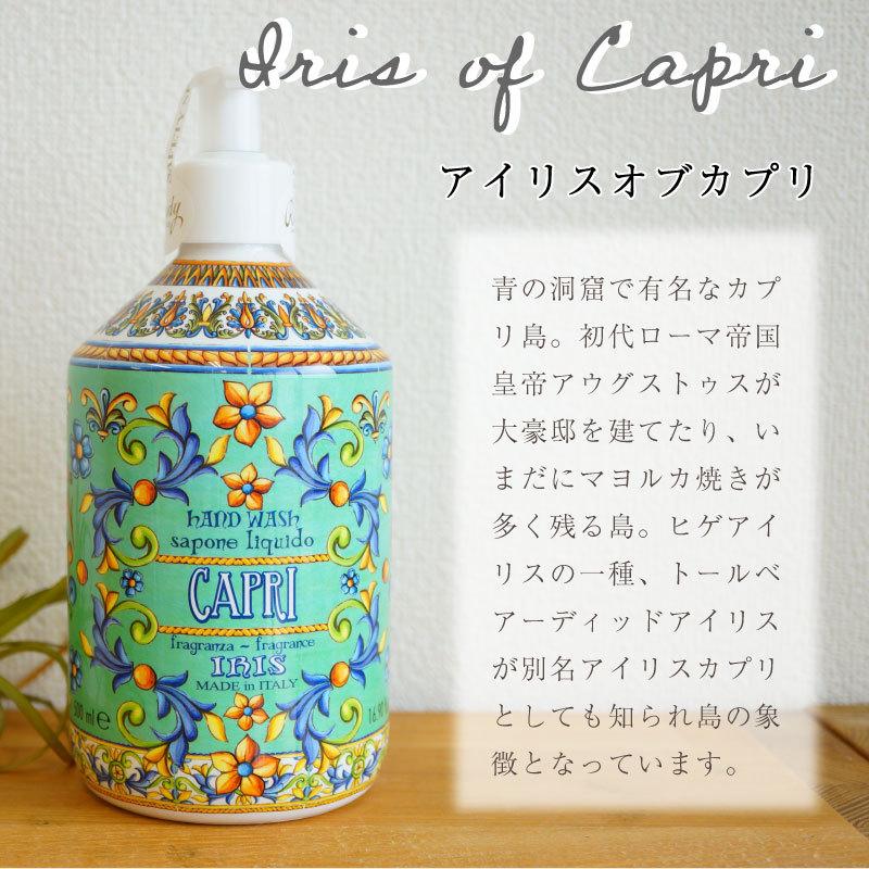 ルマヨルカ ルディ ハンドウォッシュ ハンドソープ 500ml ギフト