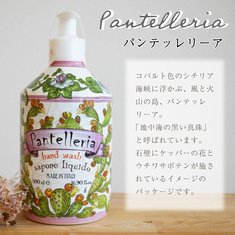 ルマヨルカ ルディ ハンドウォッシュ ハンドソープ 500ml ギフト