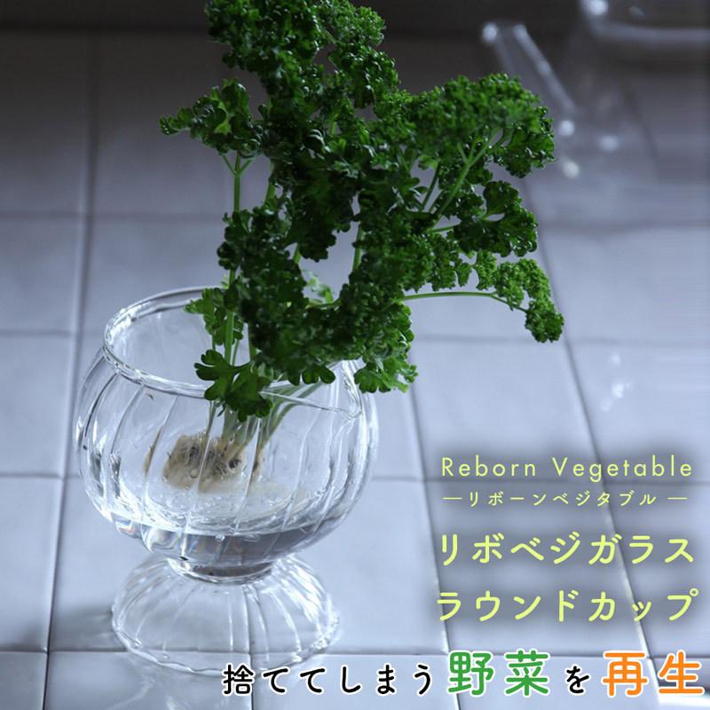 人気デザイナー ガラスカップ リボベジ 花瓶 野菜 ベース ガラス 家庭菜園 フラワーベース おしゃれ インテリア 洗いやすい クリア