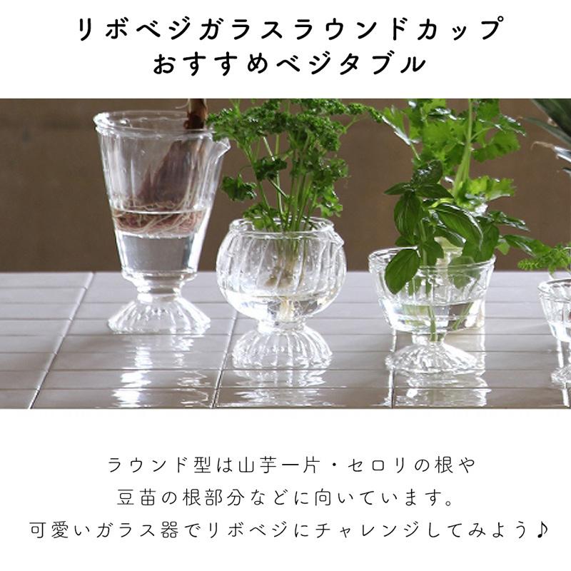 ガラスカップ リボベジ 花瓶 野菜 ベース ガラス 家庭菜園 フラワーベース おしゃれ インテリア 洗いやすい クリア Kegy21 アウトドアと雑貨のグラスホッパー 通販 Yahoo ショッピング