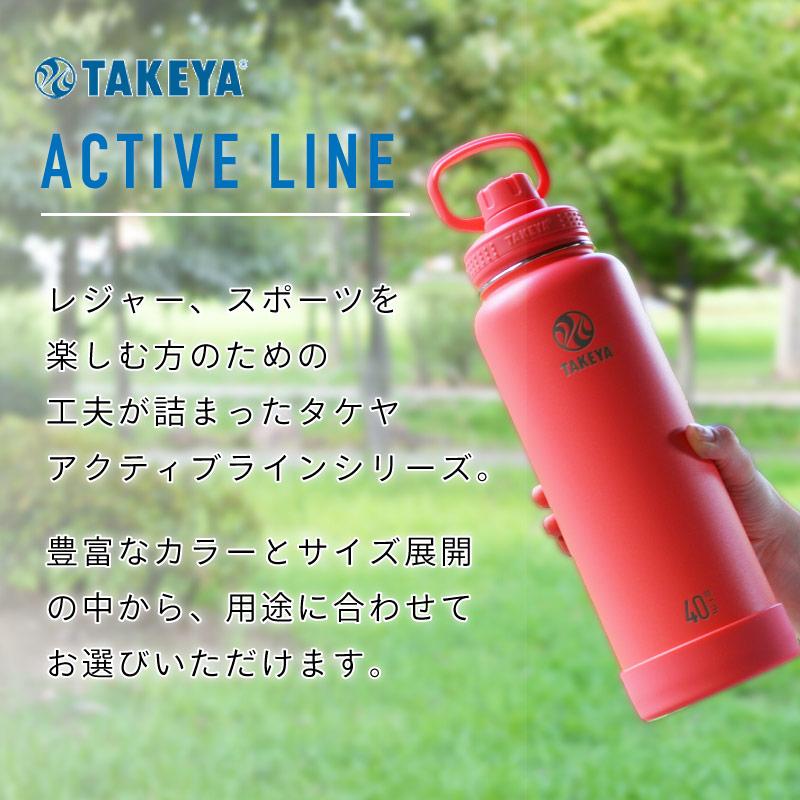 TAKEYA（タケヤ） 水筒 ステンレスボトル 0.94L 940ml 保冷専用 真空