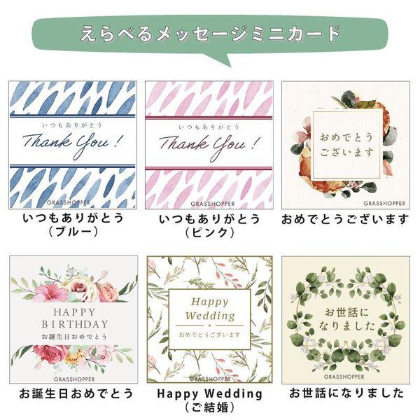CT触媒 フェイクグリーン 造花 多肉植物 寄せ植え Sサイズ 小さめ パステルカラー かわいい 箱入り 観葉植物 消臭 抗菌 防汚 エクリア |  | 10