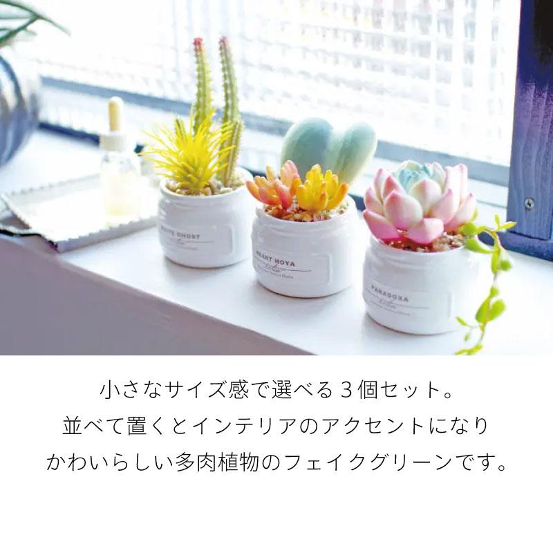 CT触媒 フェイクグリーン 造花 多肉植物 寄せ植え Sサイズ 小さめ パステルカラー かわいい 箱入り 観葉植物 消臭 抗菌 防汚 エクリア |  | 05