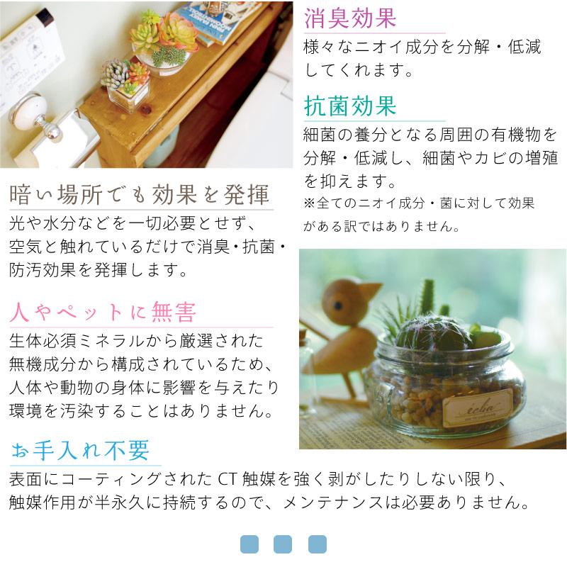 CT触媒 フェイクグリーン 造花 多肉植物 寄せ植え Sサイズ 小さめ パステルカラー かわいい 箱入り 観葉植物 消臭 抗菌 防汚 エクリア |  | 03