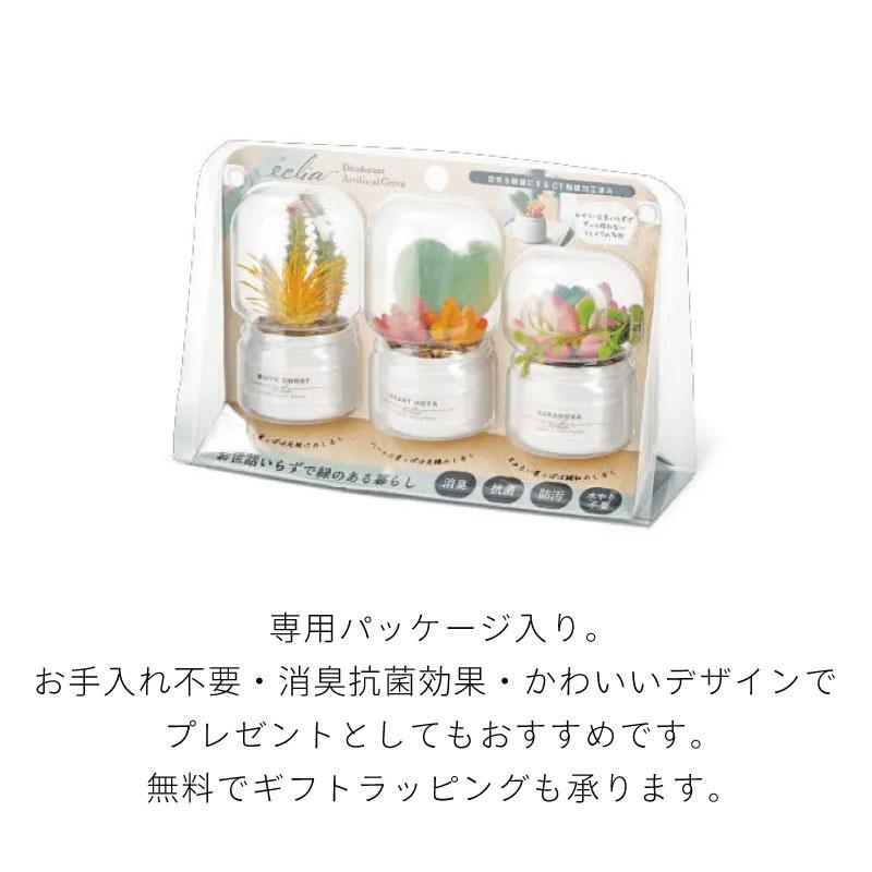 CT触媒 フェイクグリーン 造花 多肉植物 寄せ植え Sサイズ 小さめ パステルカラー かわいい 箱入り 観葉植物 消臭 抗菌 防汚 エクリア |  | 07