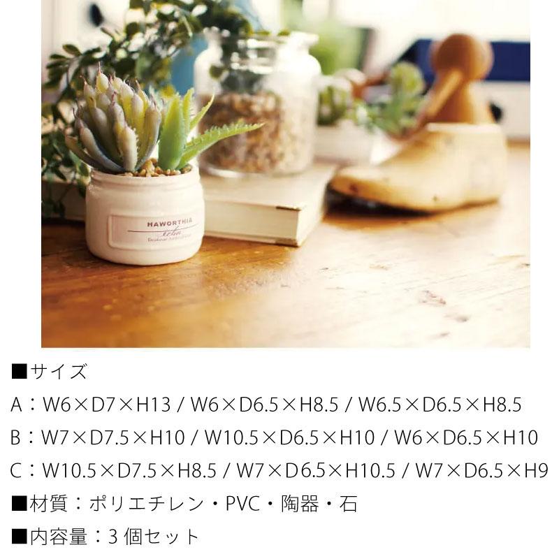 CT触媒 フェイクグリーン 造花 多肉植物 寄せ植え Sサイズ 小さめ パステルカラー かわいい 箱入り 観葉植物 消臭 抗菌 防汚 エクリア |  | 08