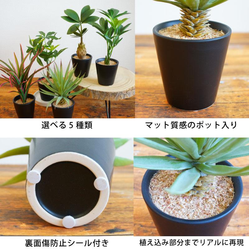 光触媒加工　抗菌消臭　ウォールグリーン　鏡 17 光触媒加工 抗菌消臭 ウォールグリーン 鏡 17 【公式通販】