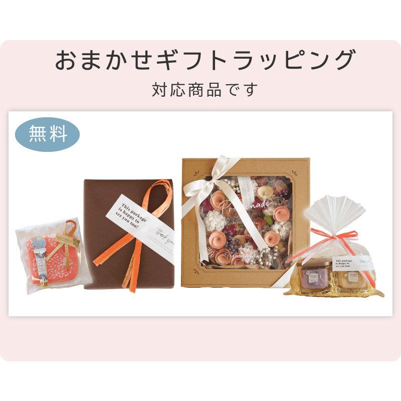 リュック デイパック リュックサック バックパック マザーズバッグ レディース おしゃれ バッグ ベビーカー ママバッグ マザーズリュック 収納 普段用 | nicott | 19