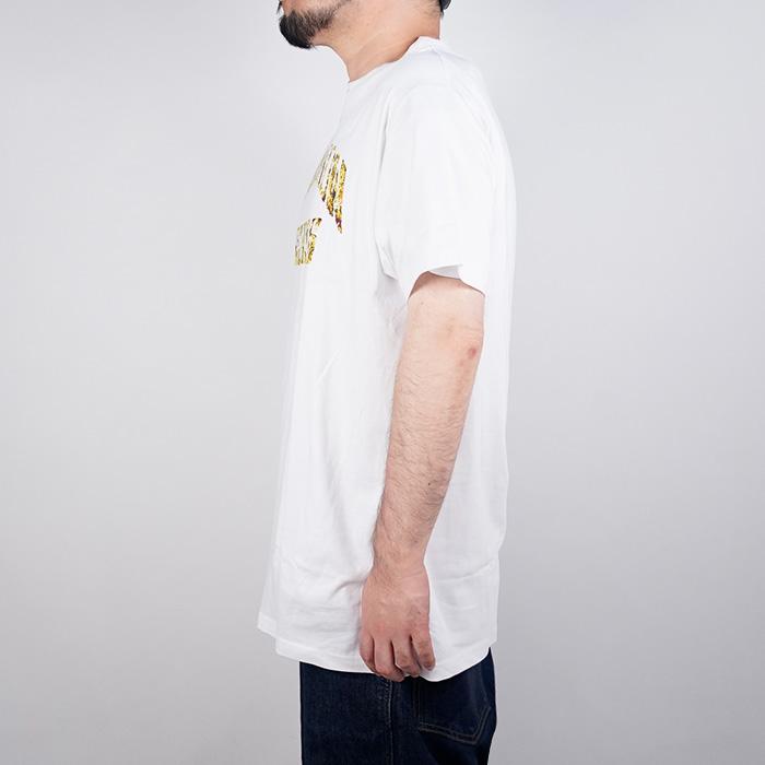 CROOKS & CASTLES クルックス アンド キャッスルズ Tシャツ
