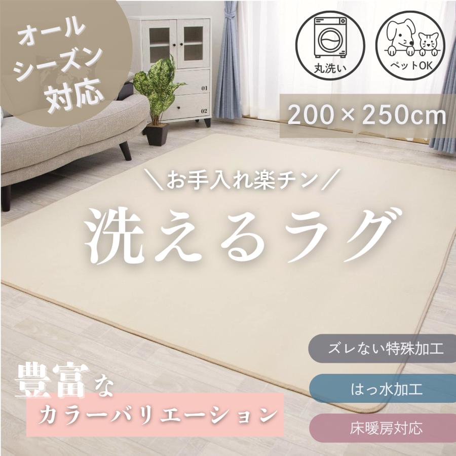 ラグ カーペット ラグマット 洗える 3畳 200×250 オールシーズン 春 夏