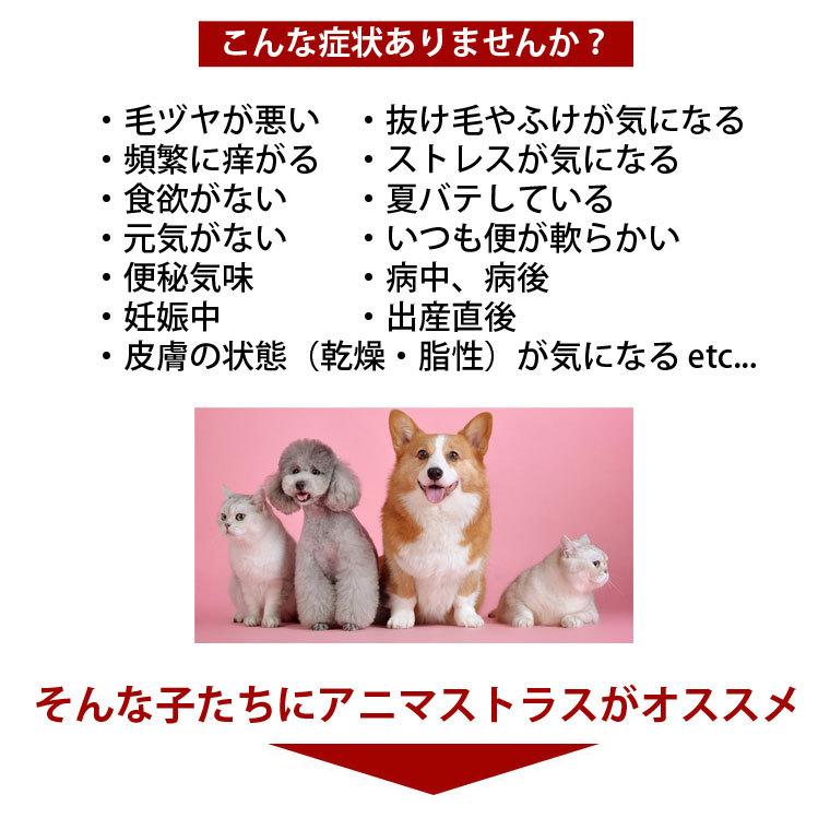 アニマストラス 100ml ペット用 酵素 サプリメント 犬 猫 サプリ ハーブ 毛ヅヤ 毛並み 乾燥 敏感 フケ 皮膚 ストレス 老犬 ハムスター 免疫力 健康 無添加 液体 Animasttrath01 Life Is 通販 Yahoo ショッピング