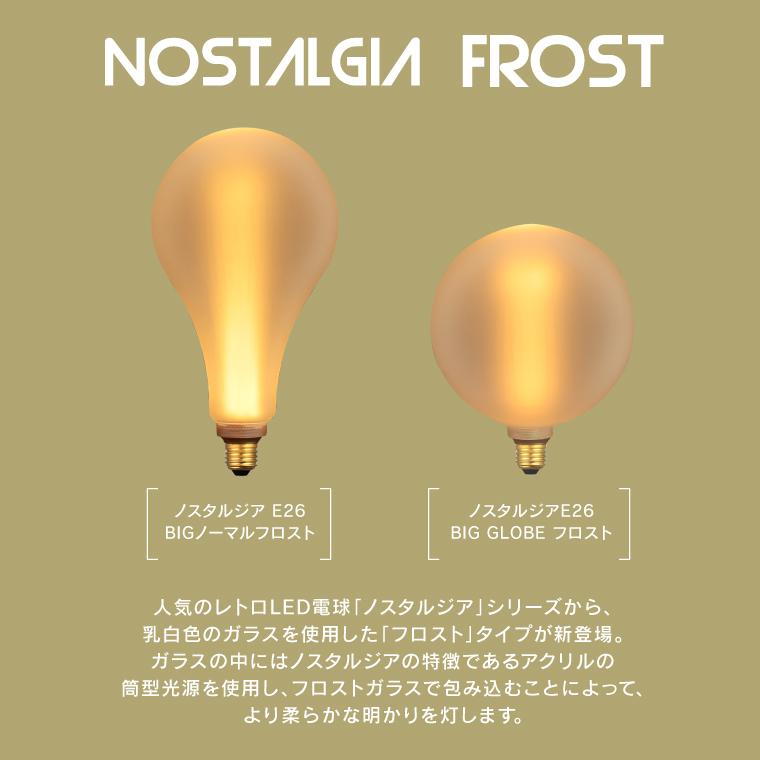 EdisonBulb ノスタルジアBIGノーマルフロスト BIGグローブフロスト LED