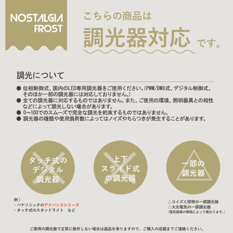 ノスタルジアBIGノーマルフロスト BIGグローブフロスト LED電球 2個セット 調光器対応 エジソンバルブ エジソン電球 大きい ボール球 ビッグ 眩しくない 電球色｜nestbeauty｜19