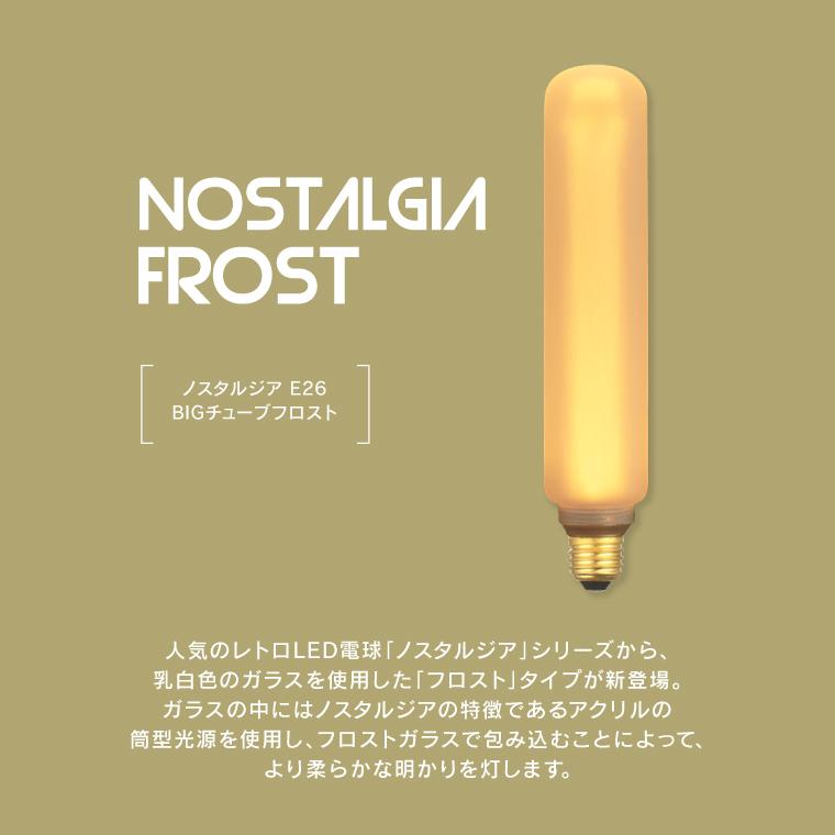 EdisonBulb E26ノスタルジアBIGチューブフロスト 調光器対応 2個セット