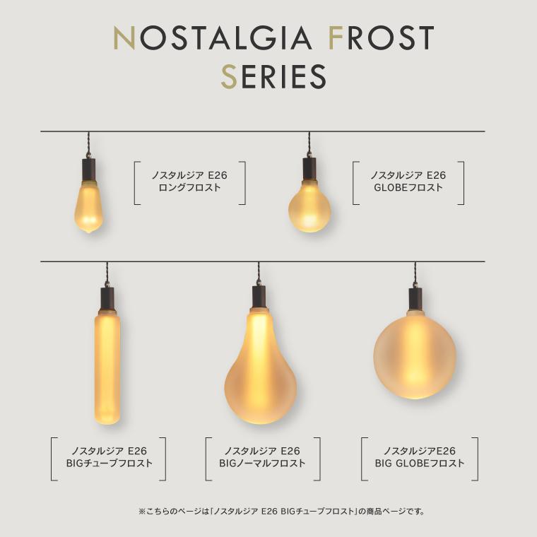 EdisonBulb E26ノスタルジアBIGチューブフロスト 調光器対応 2個セット