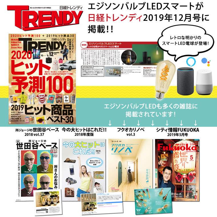 EdisonBulb 2個セット スマートLED電球 エジソンバルブLED EdisonBulb 2個セット スマートLED電球 エジソンバルブLED