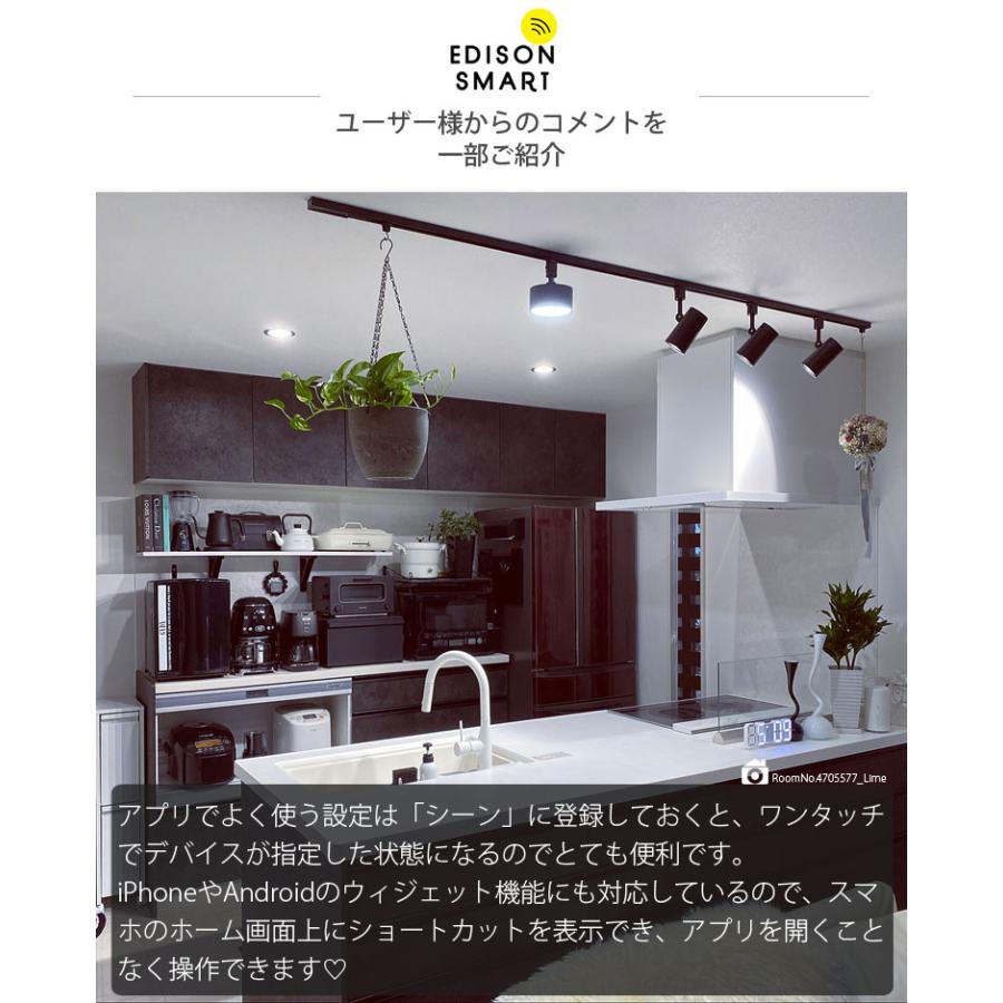 Edison Smart エジソンスマート ミニ シーリングライト led Edison Smart エジソンスマート ミニ シーリングライト led