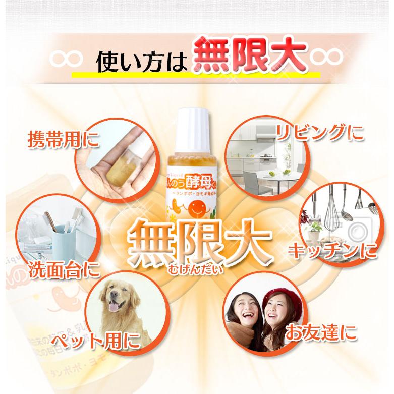 ばんのう酵母くん 23ml 【6本セット】 アーデンモア 正規品 ネコポス