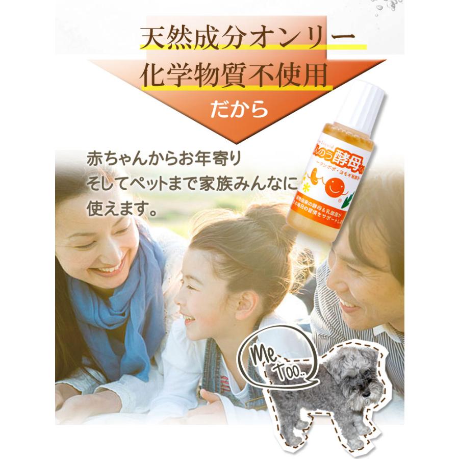ばんのう酵母くん 23ml 【2箱(12本)セット】 アーデンモア 正規品 送料