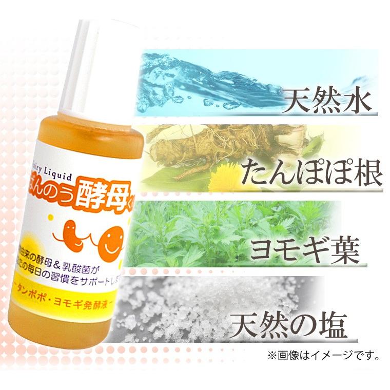 ばんのう酵母くん 23ml 【3箱(18本)セット】 送料無料 : ネスト