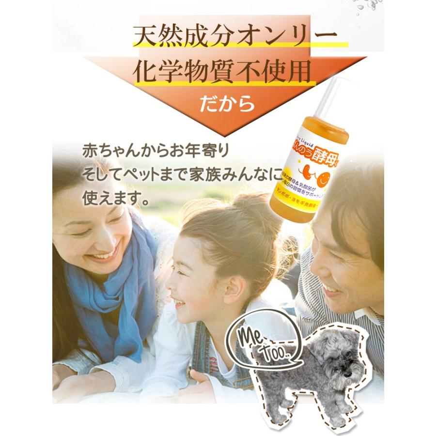 ばんのう酵母くん 23ml 【4箱(24本)セット＋4本プレゼント】 送料無料