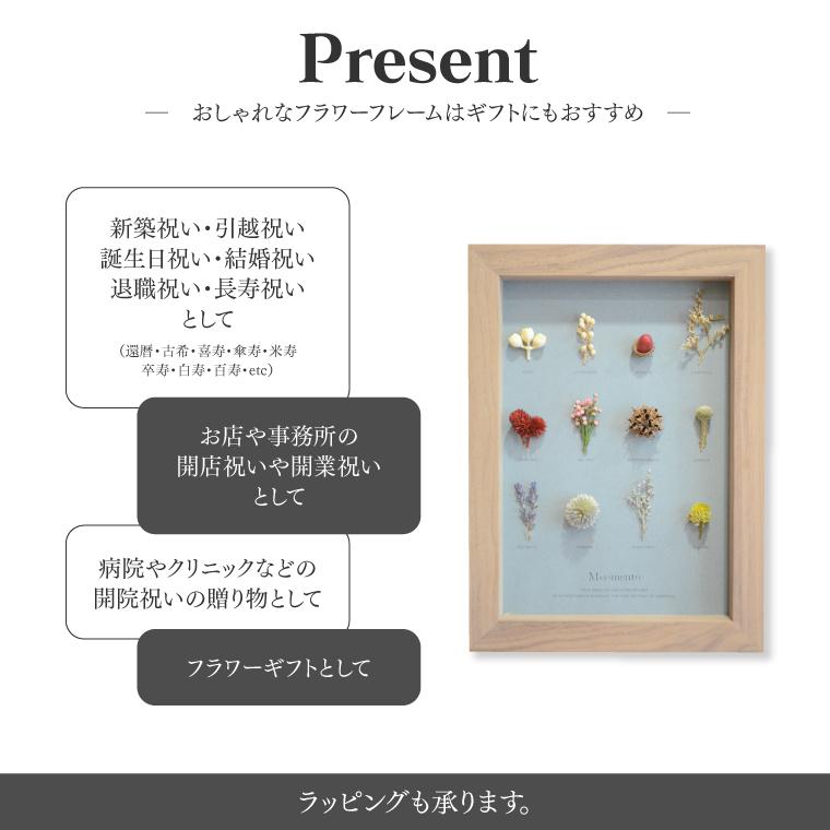 フラワーフレーム Moemento ドライフラワー お花付 飾れる Herbarium12