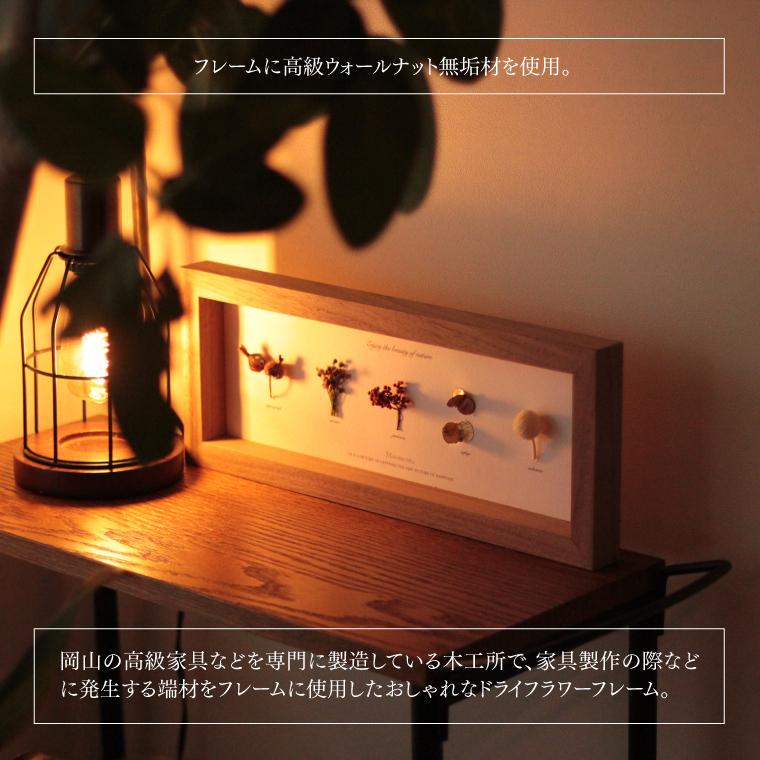 アートフラワーフレーム Moemento ドライフラワー 植物標本 お花付
