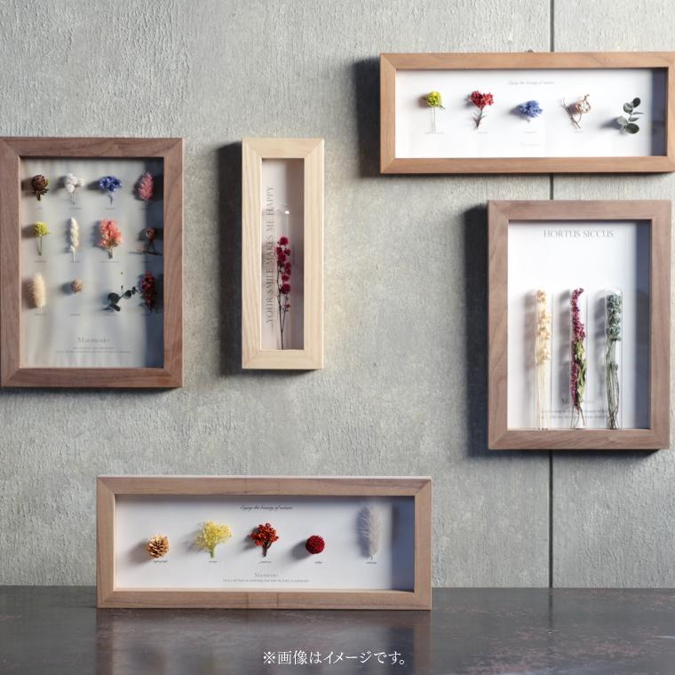 アートフラワーフレーム Moemento ドライフラワー 植物標本 お花付