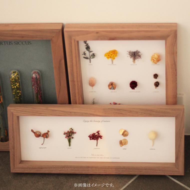 アートフラワーフレーム Moemento ドライフラワー 植物標本 お花付