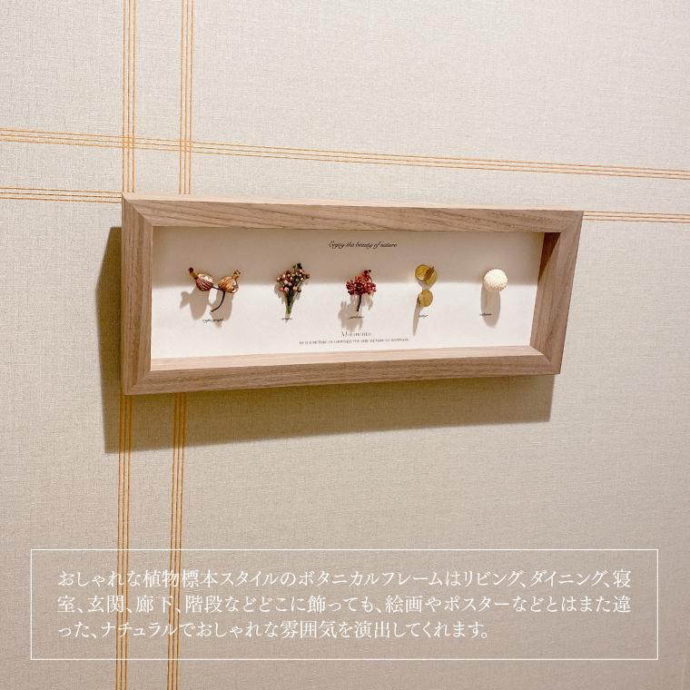 アートフラワーフレーム Moemento ドライフラワー 植物標本 お花付