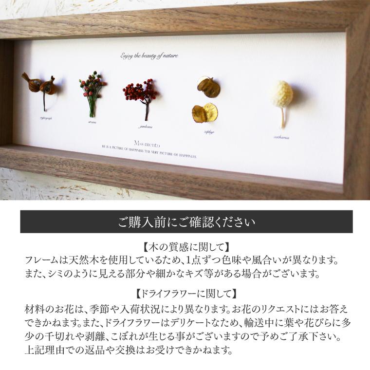 アートフラワーフレーム Moemento ドライフラワー 植物標本 お花付