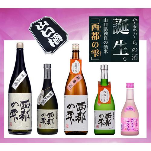 新銘柄 桜酵母さくらさくら 300ml 5本入り 長陽福娘 新銘柄 桜酵母