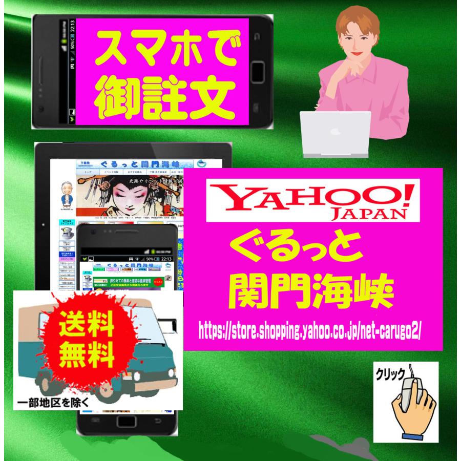 生貯蔵酒　5本セット　300ｍｌ 山口県産　萩　岩崎酒造　 |  | 06