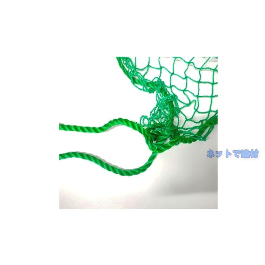 PP 養生用 グリーンネット 5m×5m 網目25mm 3枚 KMネクスト