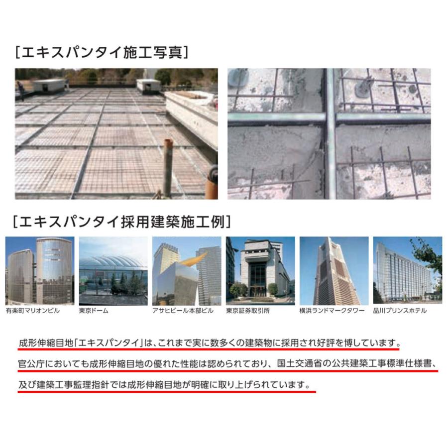 エキスパンタイ40本セット グレー TJ-20-80 (旧TK-20) キャップ