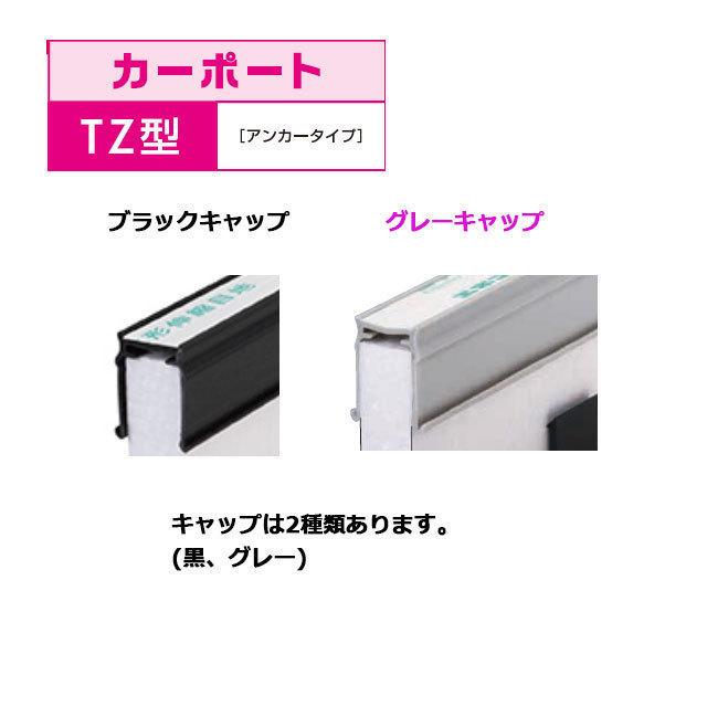 エキスパンタイ40本セット 黒 TC-20-100 (旧カーポート TZ-20-100