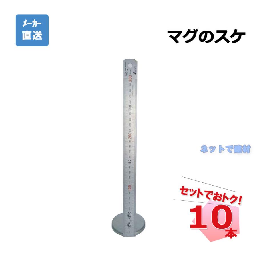 アラオ マグのスケ AR-4111 10本 台座 63 φ 定規 30 cm