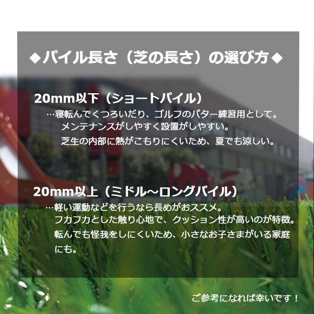 人工芝 リアリーターフ ミドルプラス RET25FR-1-10ERP 25mm 幅1m×10m 1