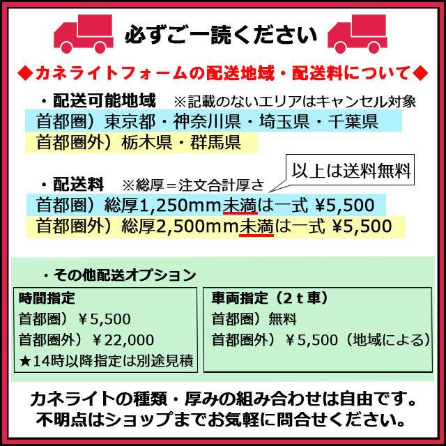 人気no 1 本体 カネライトフォーム スーパーe1 1枚 厚み50ｍｍ 幅910 長さ10mm 配送地域限定商品 1種 押出法ポリスチレンフォーム 断熱材 Riosmauricio Com