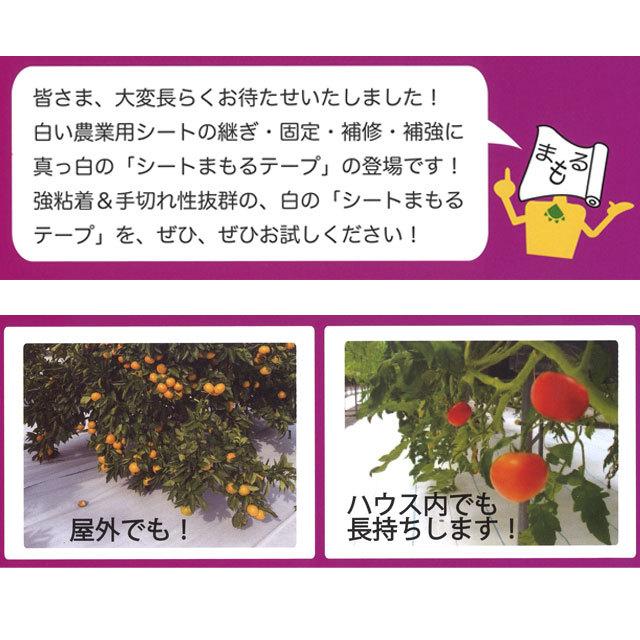 シートまもるテープ 白 36巻 80mm幅×20m 菊水テープ ポリエチレンクロス 粘着 補修用 マルチテープ 防草シート 補修 農業_3