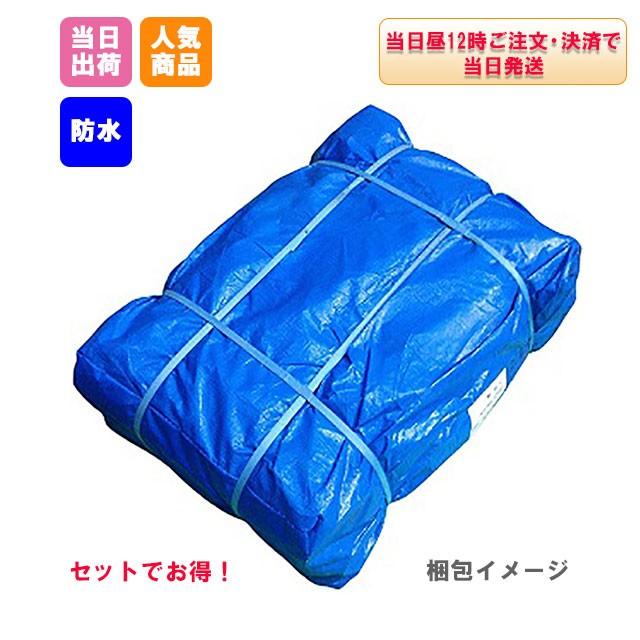 3％OFFセール】ブルーシート 厚手 #3000 10m×10m 2枚 KMネクスト