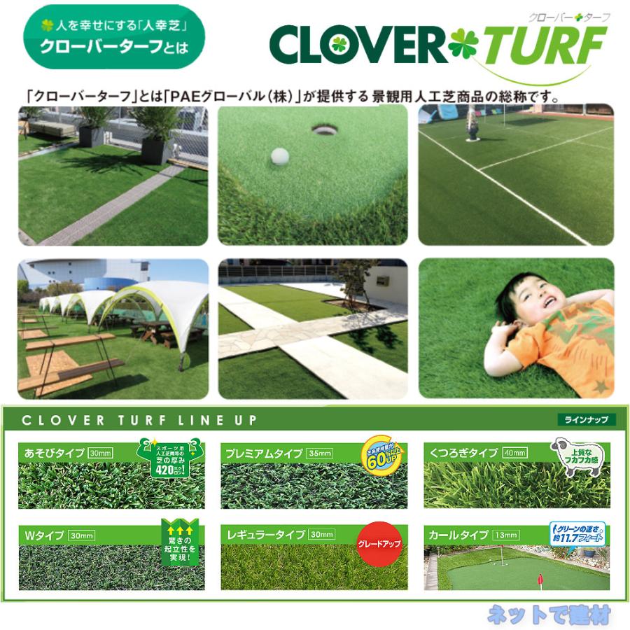 クローバーターフ あそびタイプ CTA30 5本 セット PAEグローバル 芝丈 