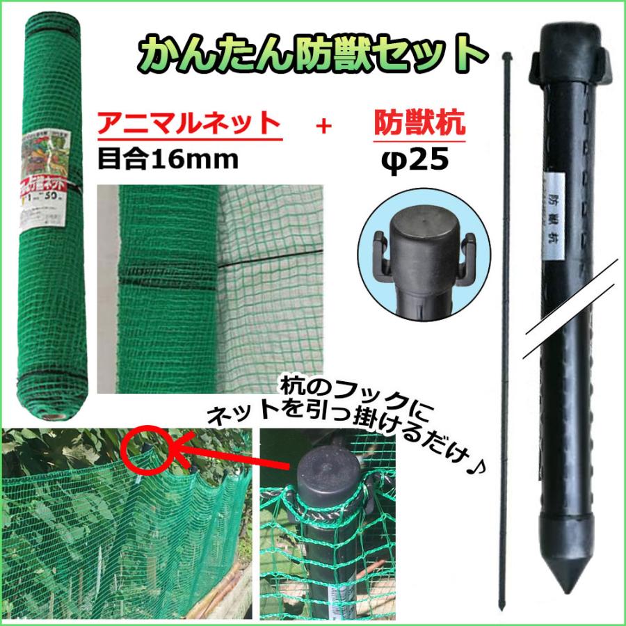 アニマルネット 2m×50m 目合16mm 1本 + 防獣杭 Φ25mm×2100mm 25本