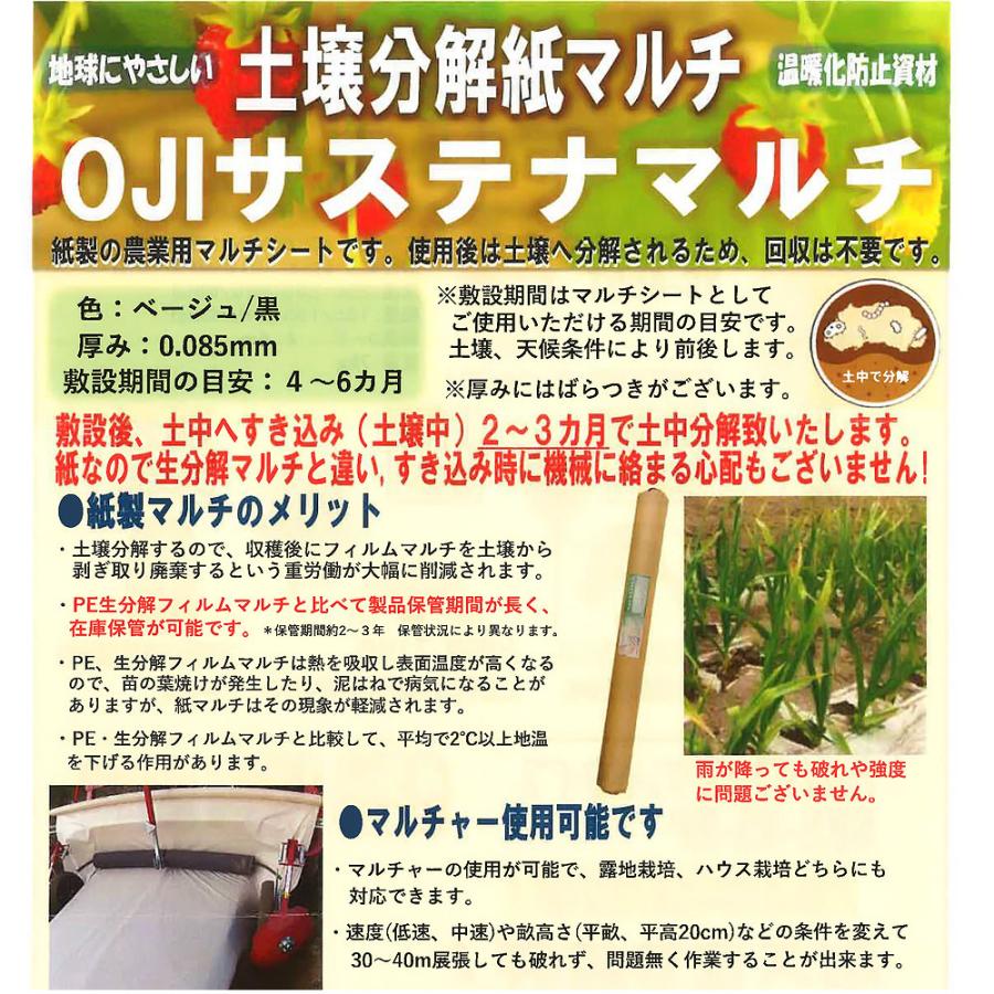 オリビエ　ミックスドメディア サイン入り 348/500 金銀おりがみ 大きいサイズ 厚口 50cm FGSL-04 1セット（50枚