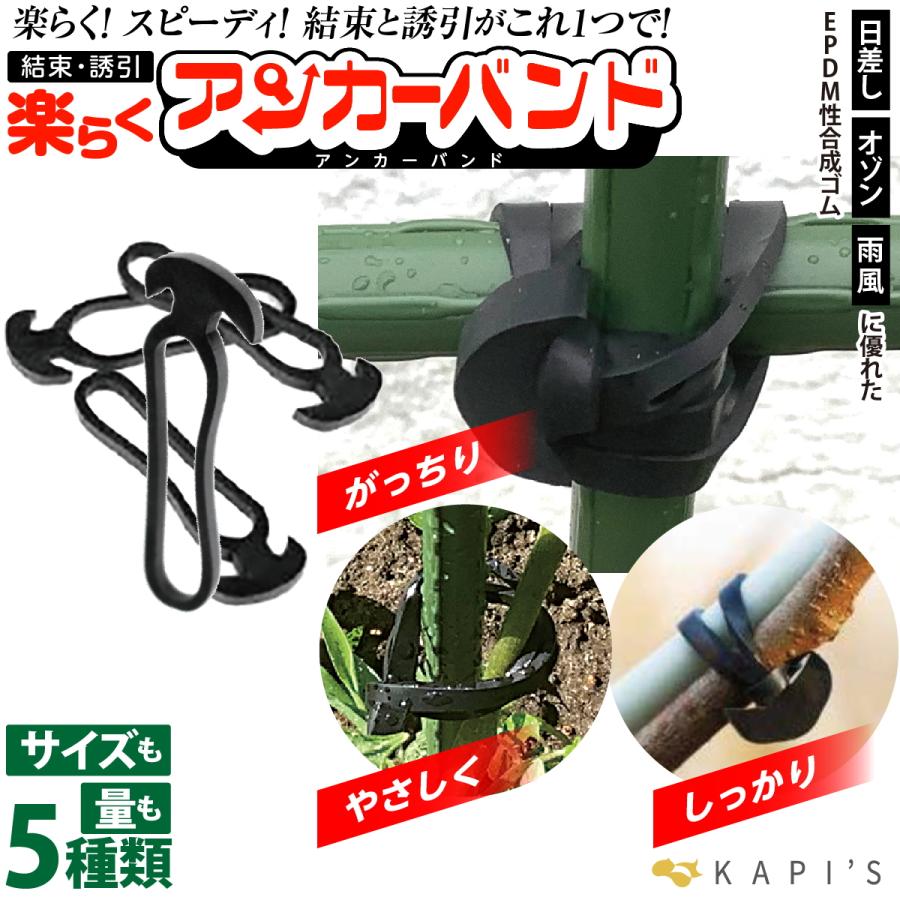SHINSEI 楽らくアンカーバンド NO.5 AK5 長さ50mm 3kg×1箱 KAPI'S