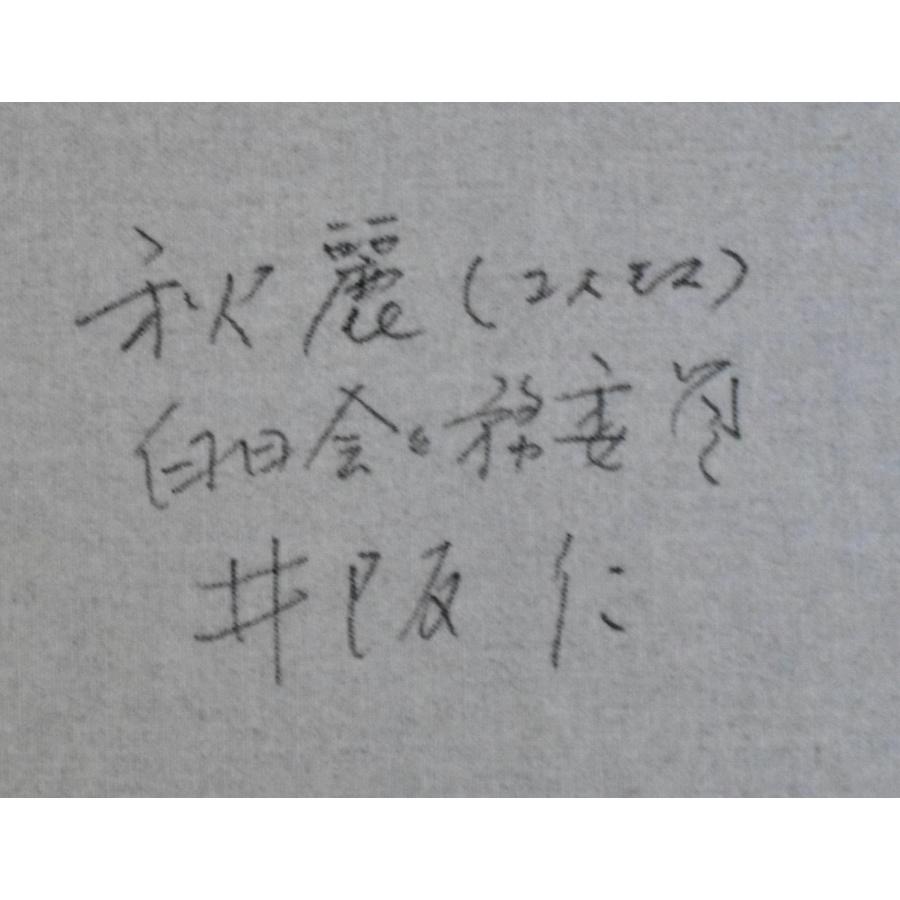 井阪　仁 「秋麗（コスモス）」油彩　箔　Ｐ１０号　真作保証　超リアルで華やか！ 井阪 仁 「秋麗（コスモス）」油彩 箔 P10号 真作保証 超