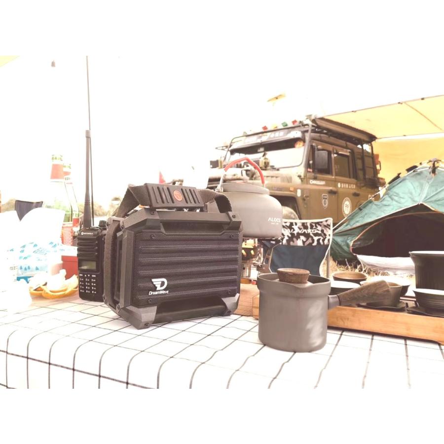 ロックスターミニ-ROCK STAR MINI |  | 10