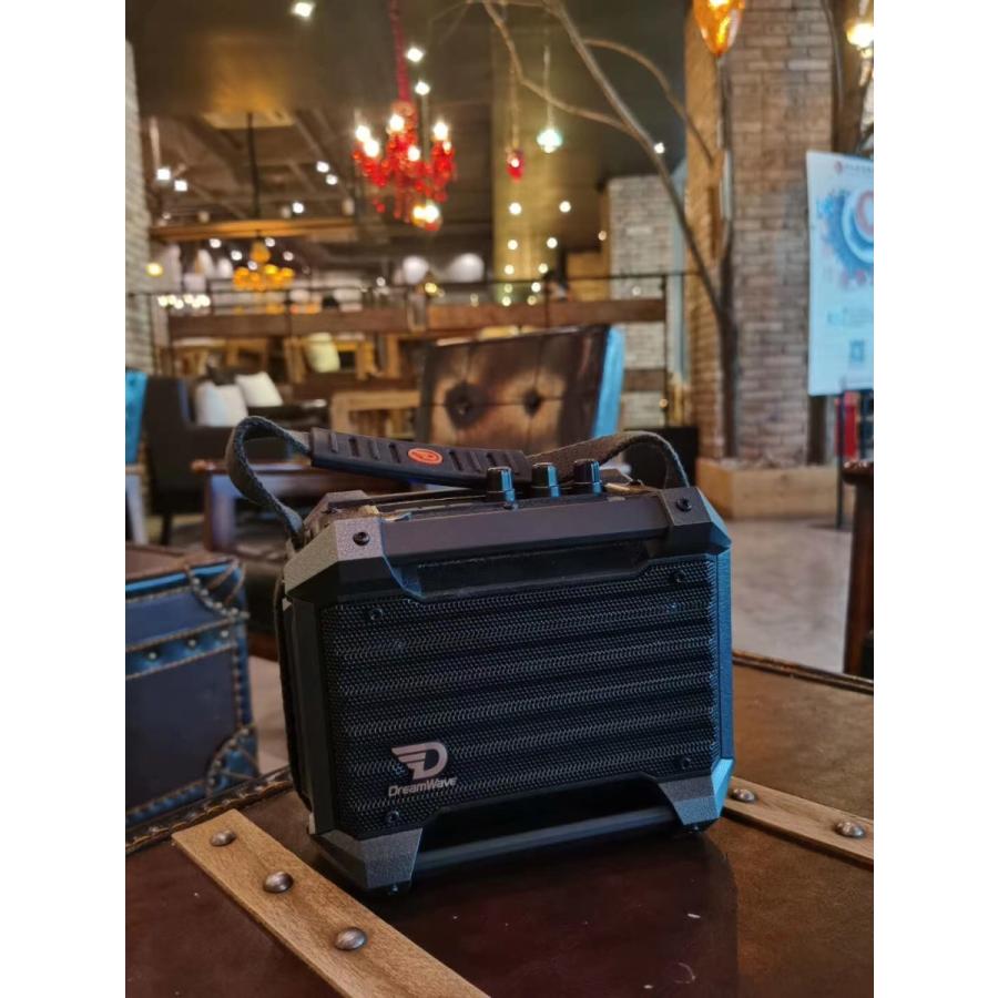 ロックスターミニ-ROCK STAR MINI |  | 11