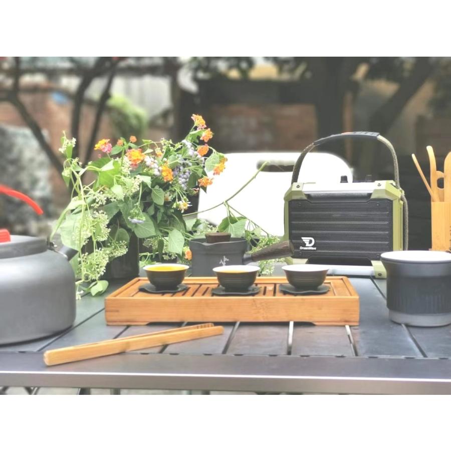 ロックスターミニ-ROCK STAR MINI |  | 17