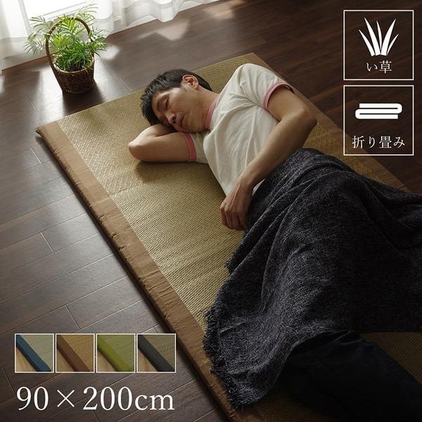 い草 ごろ寝マット/フロアマット 〔グリーン〕 約90×200cm 日本製 折りたたみ可 吸湿 抗菌 防臭 〔リビング〕